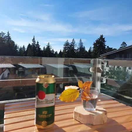 E205 Euphoria 度假村 *