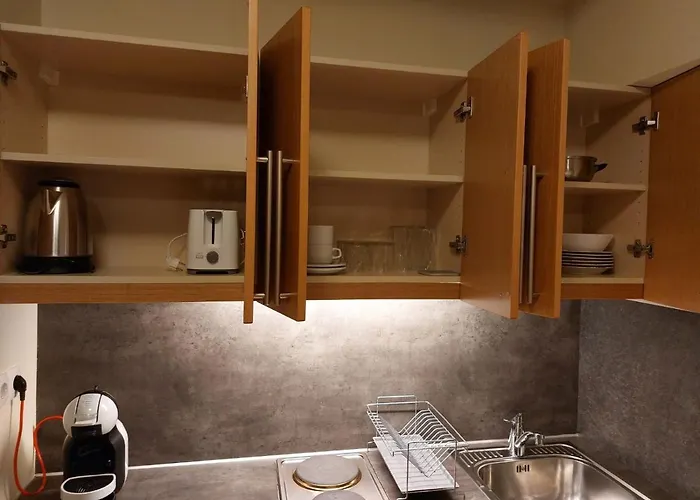 E205 Euphoria * Borowec